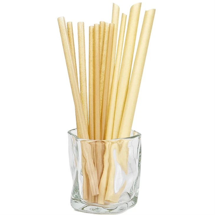 Bagassa de canya de sucre